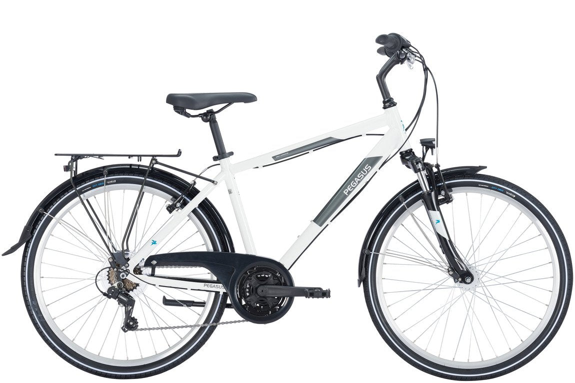 Pegasus Avanti 18 26" Herren RH:44